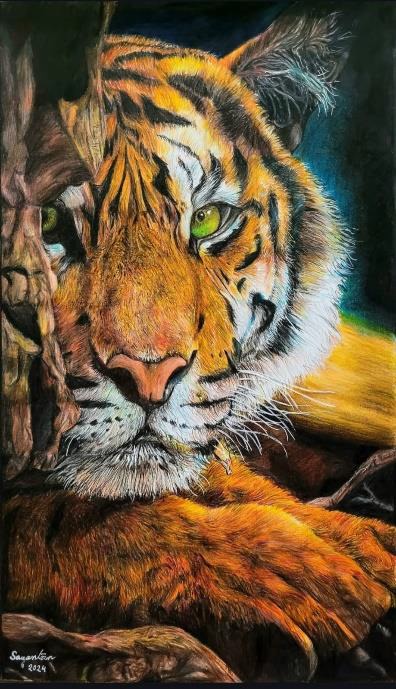The Tiger by Sayantan Sinha
