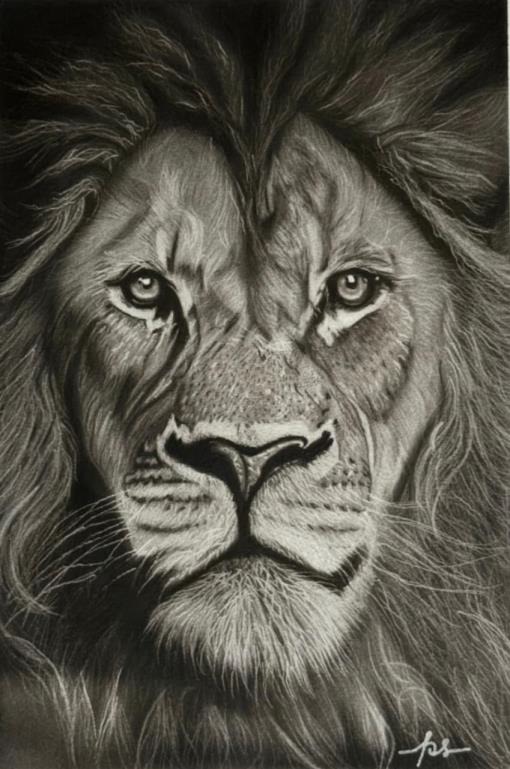 The Tiger by Sayantan Sinha