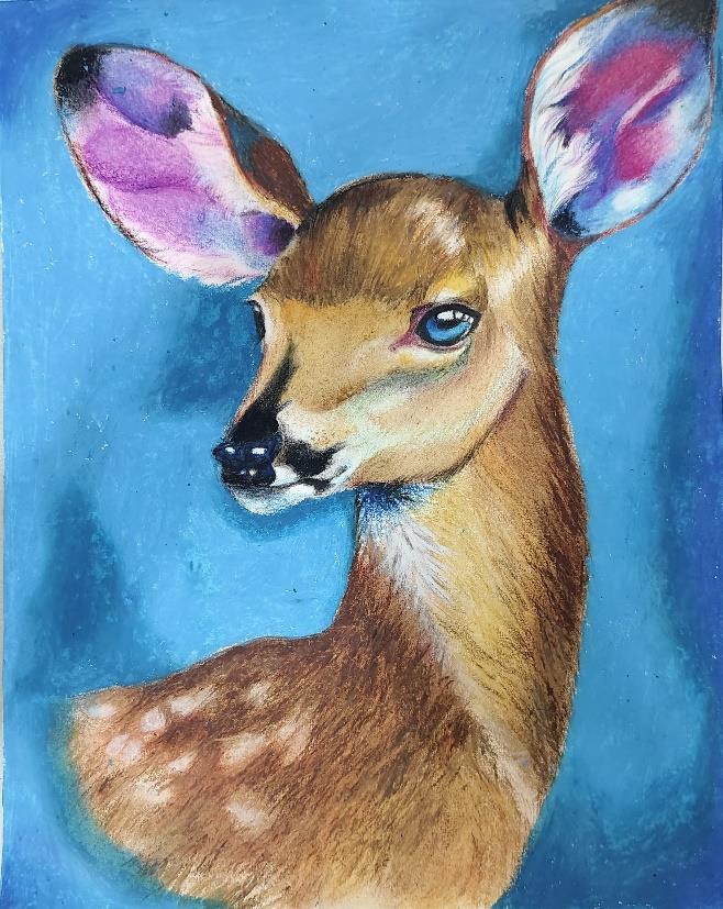 The Tiger by Sayantan Sinha